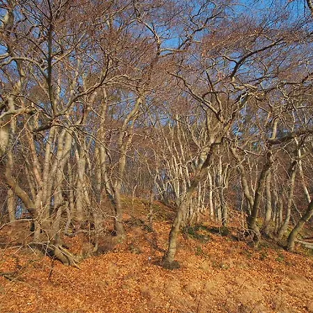 アパート Orlowo グディニャ