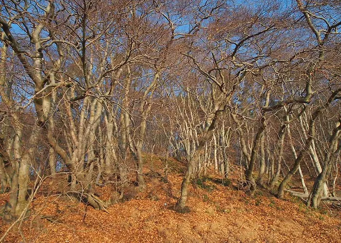 Apartmán Orlowo Gdyně